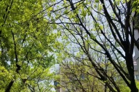 品一口有质量的空气,用它来唤醒春天的味道