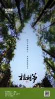 鑫迪木门:阳光下希望破土,未来里梦想成长