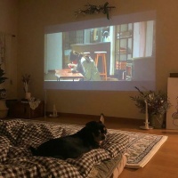 卧室投影仪推荐！幸福感爆棚的当贝投影仪D1值得入手！