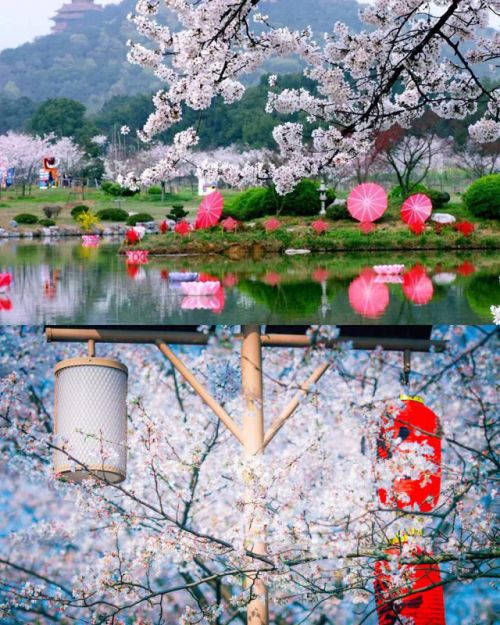 燕郊新浪家居