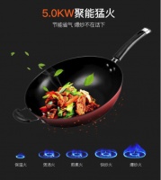 集成灶十大品牌:火星一号集成灶为美味助力!