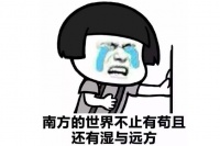 清明时节：如何选择舒适的家居生活，告别纷纷雨、潮湿季