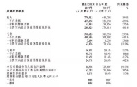 齐屹科技2019:自营业务营收利润双降