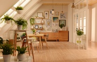 各出奇招，主流家居卖场都拿出雄心勃勃的直播计划