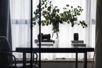 新作丨向心公转