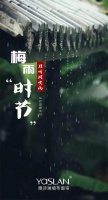 【YASLAN】梅雨季节，让雅诗澜墙布来拯救你的墙面！
