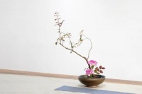 一场关乎美好的生活方式，应该与优雅花香为伍