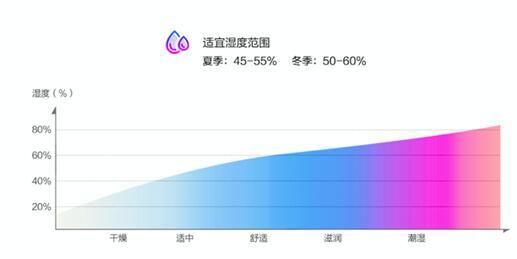 机场拥堵虞书欣发文，亚都加湿器助力清爽夏日