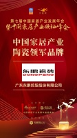 2020大雁奖揭晓:东鹏瓷砖获中国家居产业陶瓷领军品牌