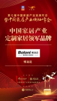 2020大雁奖揭晓:博洛尼获中国定制家居领军品牌奖