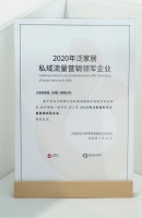 大自然家居获权威认可，荣膺营销领军双奖项