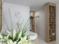 海尔全屋家居灵感库：90后夫妻的北欧风新家，风景无限