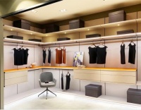 定制类衣帽间正流行 在设计时应注意以下几点