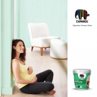 点赞!7款德爱威乳胶漆喜提德国莱茵T&Uuml;V认证证书