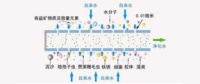 专业揭秘净水器哪个好?品牌&滤芯才是关键
