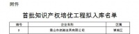 知产赋能 浪鲸上榜佛山“首批知识产权培优工程拟入库名单”