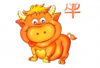 属牛和属牛的婚姻配吗 属牛和什么属相最配