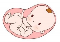孕36周胎儿发育标准 孕后期要注意什么