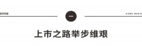 东鹏上市,资本化是陶卫企业最后的挣扎