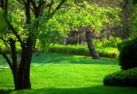 ​国锐地产：主导绿色生态，创造美好“新”家园