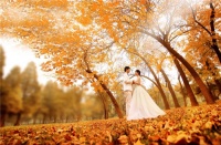 金秋十月祝福结婚词语 结婚随礼多少合适