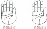 婚姻线怎么看几段姻缘 从婚姻线看何时结婚