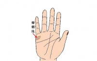 婚姻线很长代表什么  婚姻线穿过成功线代表什么