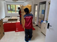 京东居家服务成商家杀手锏 11.11“省心装”打标商品成交额增240%