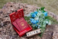 婚检能检查出怀孕吗 婚检没问题可以放心怀孕吗