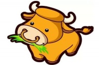 属牛的今年结婚吉日 2020年属牛结婚大利月