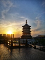 简一×网易 |走进洛阳，听郦波谈谈家文化传承之道