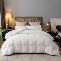 新年送温暖,艾莱依家纺羽绒被成&ldquo;年货新宠&rdquo;