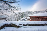 新凯骊 一 冷风拂大地 暖意在家里