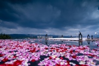 红星美凯龙入驻四川攀枝花，建设高端城市综合体