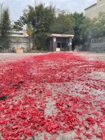 开工啦！新年新征程—益卡思乔迁新址，全新起航