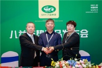 重磅！八益床垫科技革新携领新品震撼来袭