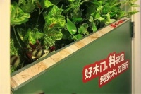 3D无漆木门：追《青3》《创4》 竟然学到了选木门的宝藏秘诀？