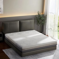 趣睡科技推出8H黑金刚超大口径弹簧护脊床垫TD