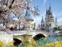 行之缘会员卡服务体贴周到细心家一般的温馨体验