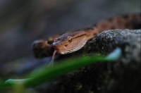 看不见的远红外线,如何改变我们的生活?