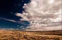 还在赚钱的家具经销商，都是怎么样做的？