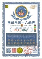 见证荣耀,欧陆美居再次荣获集成吊顶、集成墙面十大品牌双荣誉