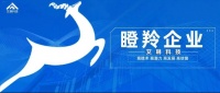 喜讯!山东艾琳智能科技荣获省级瞪羚企业