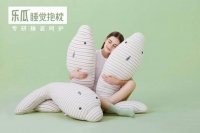 探寻乐瓜睡觉抱枕成功路径,如何成为护睡用品界新星