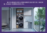 是第二名3倍!海尔洗衣机份额46%居第一