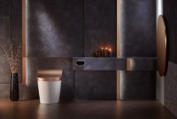 大牌卫浴选哪家？科勒卫浴你的不二之选