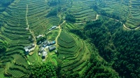 乡兴彩石瓦,助力乡村振兴,建设和美家庭