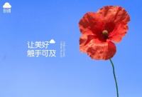 「云花后」创新鲜花体验,点亮生活“美”一处