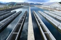 解决生活用水的4大困扰 ,1台开源中央净水机就搞定