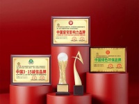 喜讯!巨匠纺•品鉴窗帘荣获“中国窗帘行业影响力品牌”等多项殊荣